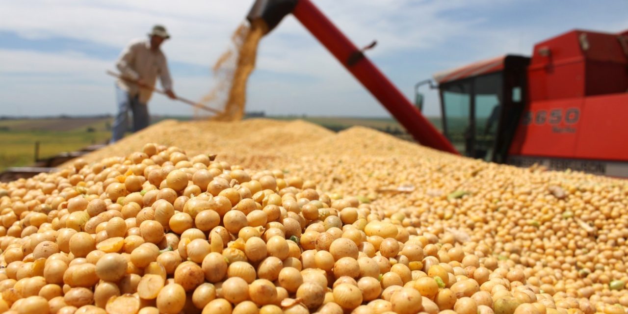 Safra de grãos deve fechar 2020 com alta de 2,3%
