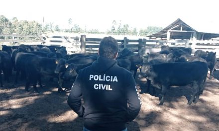 Polícia Civil recupera 110 cabeças de gado