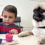 Cães terapeutas: Apae oferece atendimento há dois anos